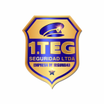 teg seguridad